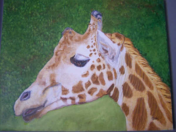 Giraffe