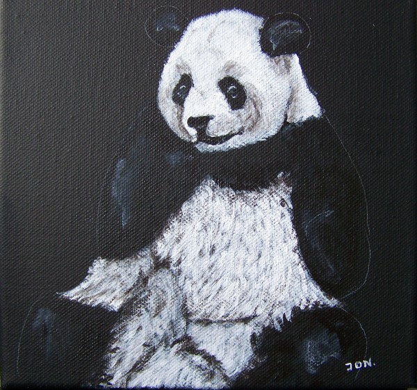 panda