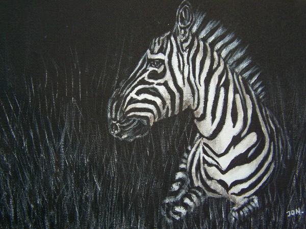 zebra